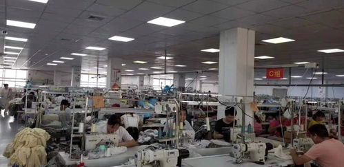 服裝廠網(wǎng)絡(luò)工程建設(shè) 中工招商網(wǎng)如何助力智能化升級